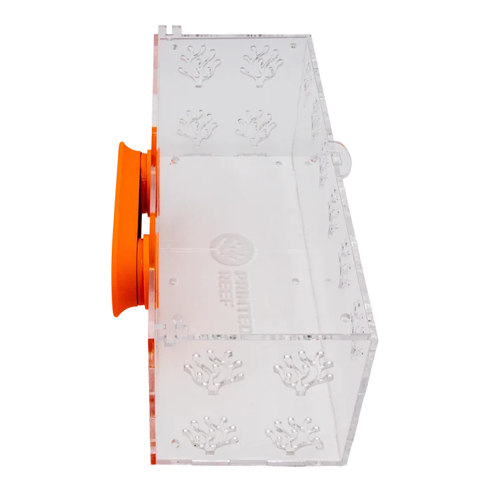 Acclimation Box - Printed Reef