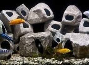 Cichlid Stones
