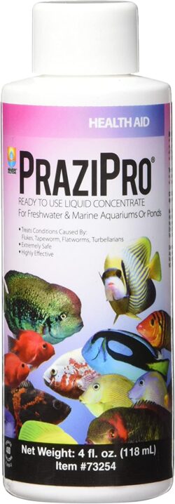 Hikari PraziPro