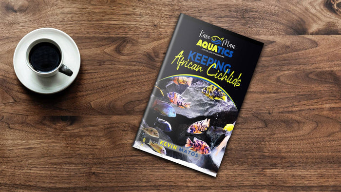 Keeping African Cichlids Paperback