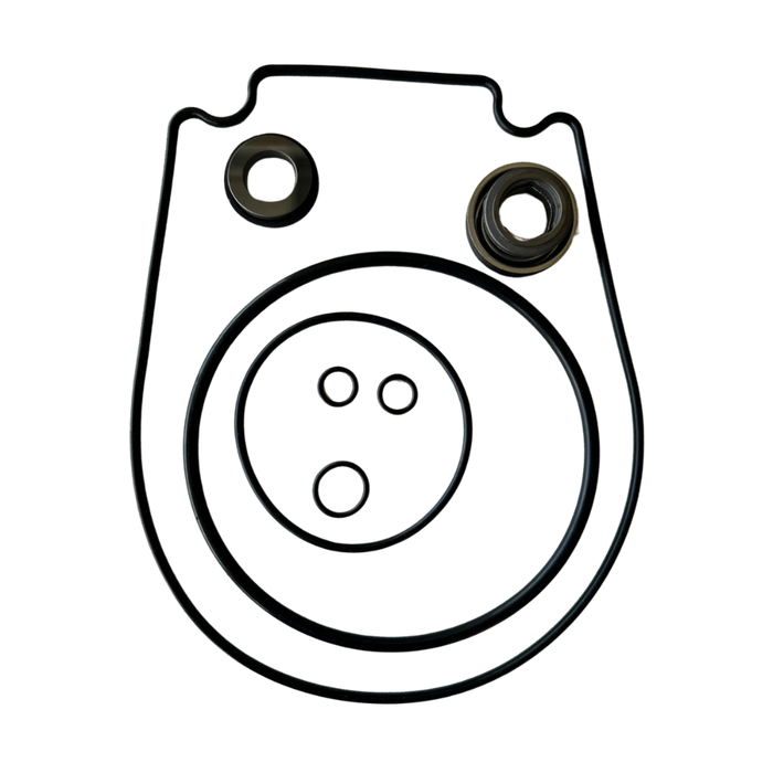 Seal and Gasket Replacement Kit - FP Pumps