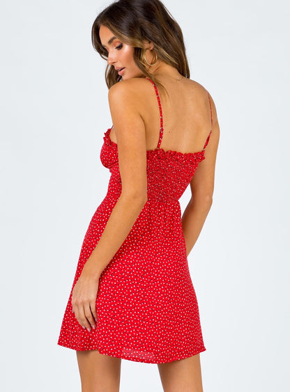 Love Birds Mini Dress