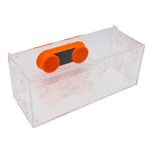 Acclimation Box - Printed Reef