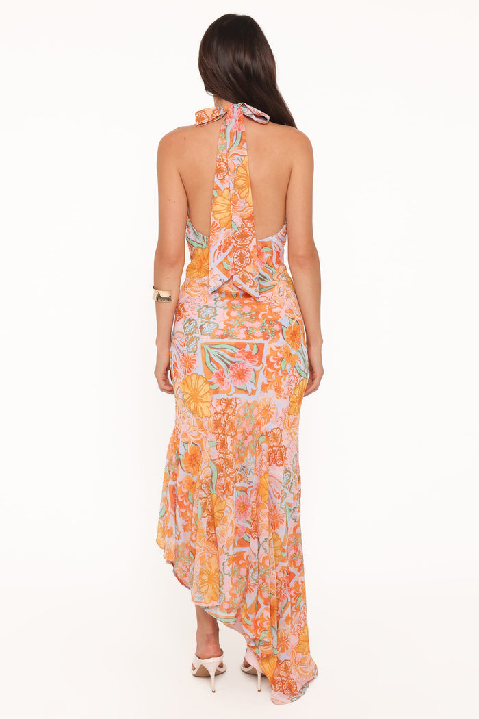 Petal and Pup USA DRESSES Alkira Maxi Dress - Orange Summer Garden