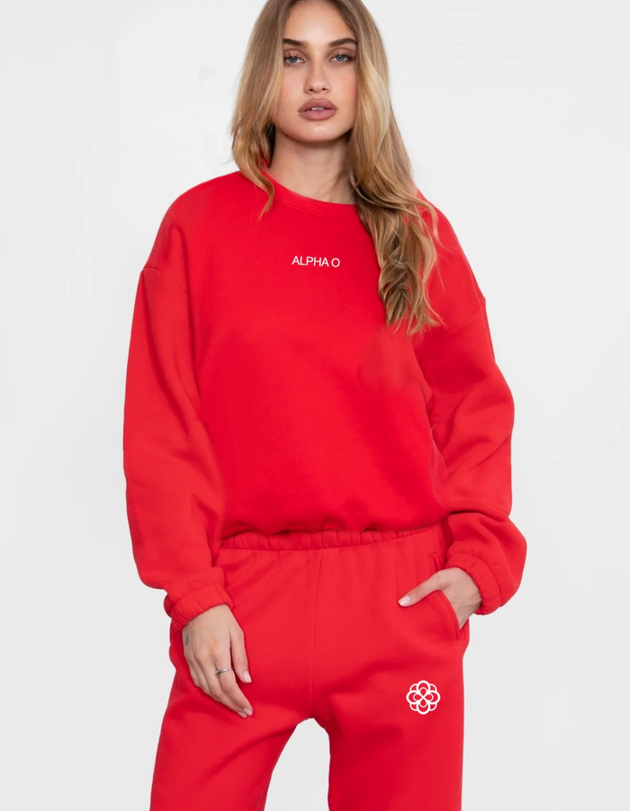 Alpha Omicron Pi Cloud Fleece Joggers - Red