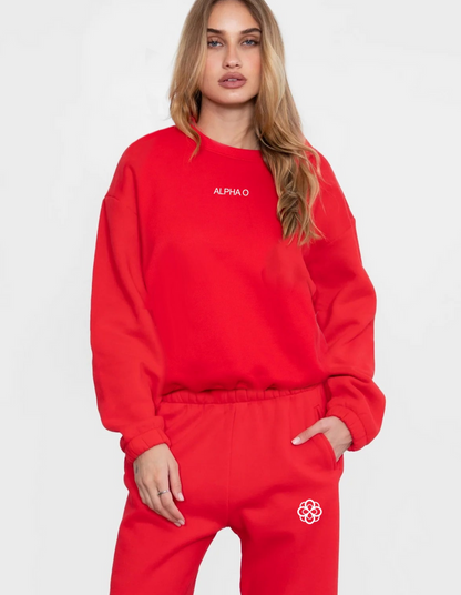 Alpha Omicron Pi Cloud Fleece Joggers - Red