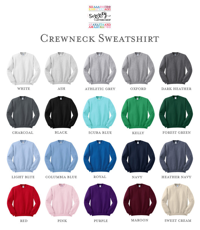 Alpha Omicron Pi Outline Monochromatic Crewneck
