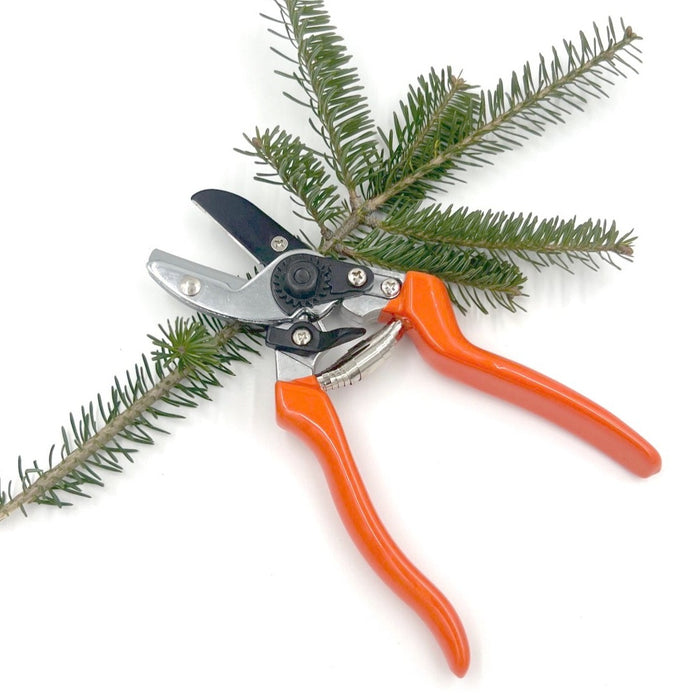 Anvil Secateurs - Burgon & Ball