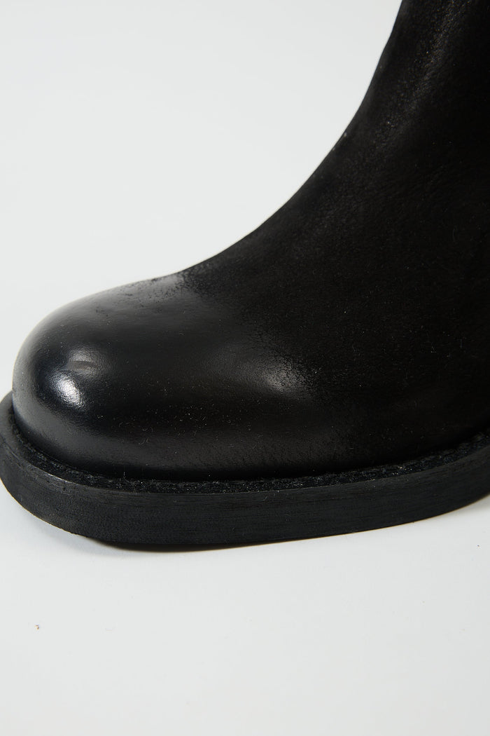 Aurelia Black