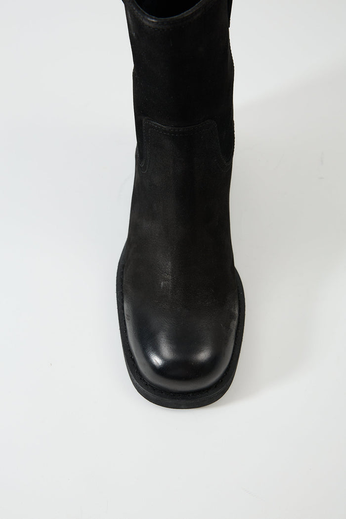 Aurelia Black