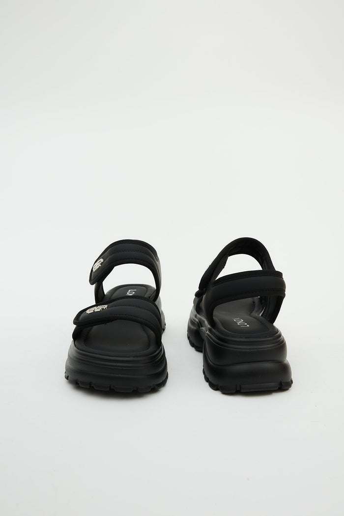 Cheaha Black