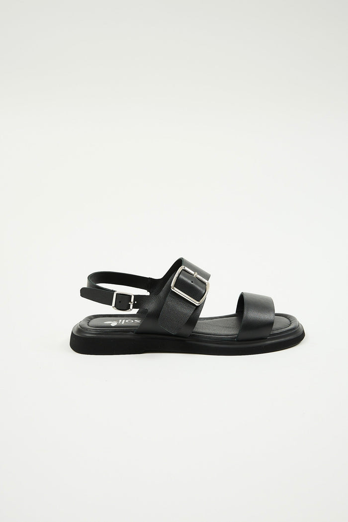 Delfina Black