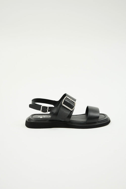Delfina Black