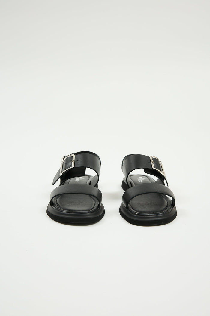 Delfina Black