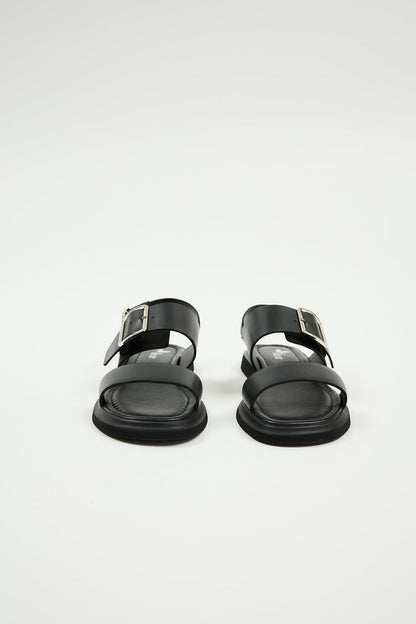 Delfina Black