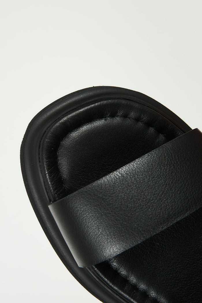Delfina Black