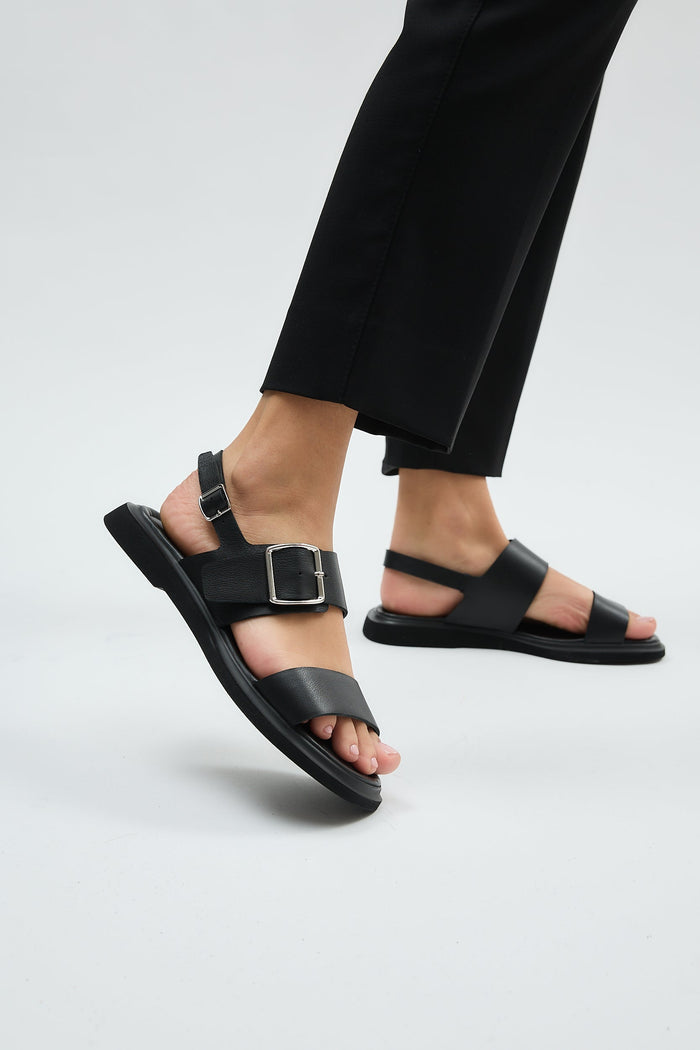 Delfina Black