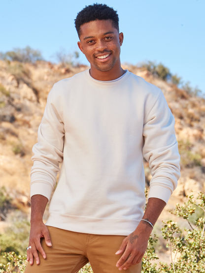 Delta Sigma Phi Crewneck Sweatshirt - Siggy