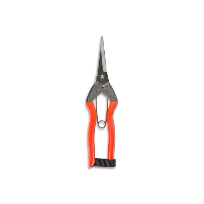 Niwaki garden snips with red rubberized grip handles on white background