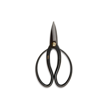 Pair of carbon steel Higurashi pruning scissors on white background