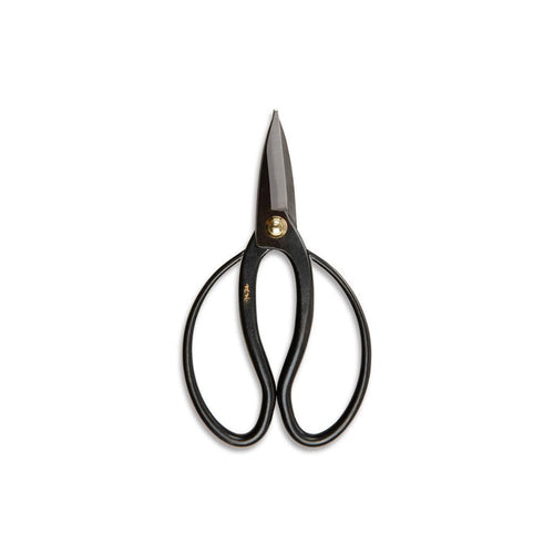 Pair of carbon steel Higurashi pruning scissors on white background