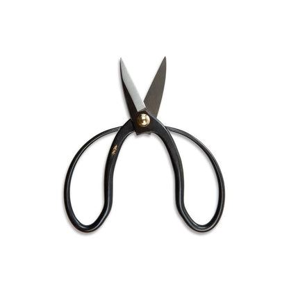 Pair of carbon steel Higurashi pruning scissors on white background