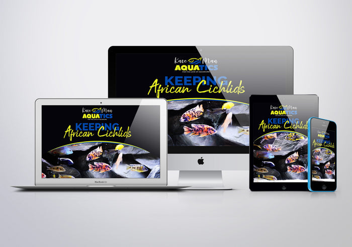 Keeping African Cichlids - Mastery Course