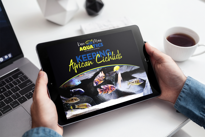 Keeping African Cichlids - Mastery Course