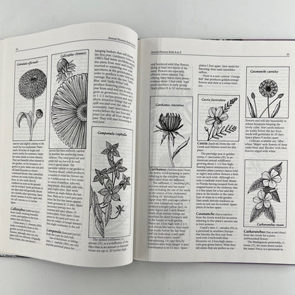 Organic Gardener's Annuals