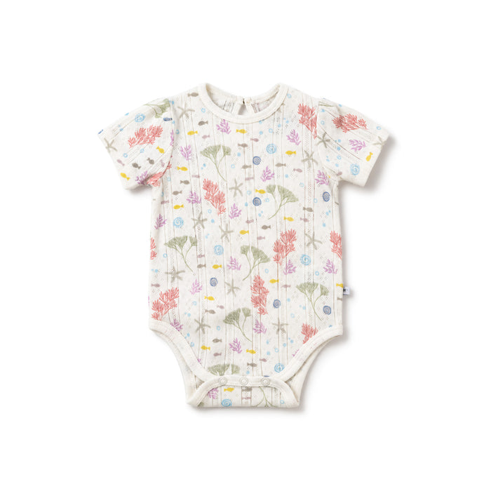 Pointelle Puff Sleeves Bodysuit - Sea Bloom