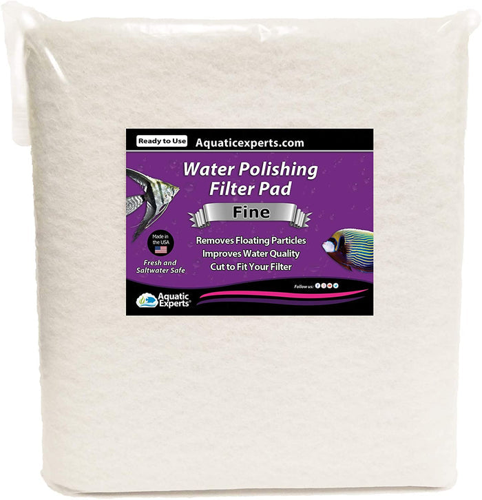 Polishing Pad