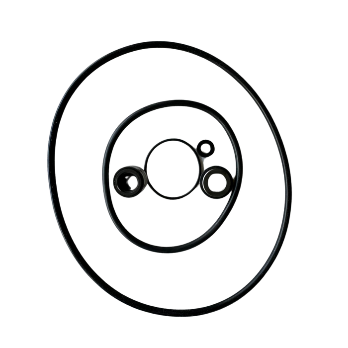 Seal and Gasket Replacement Kit - ABG Pumps