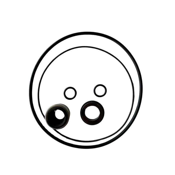 Seal and Gasket Replacement Kit - BP Pumps