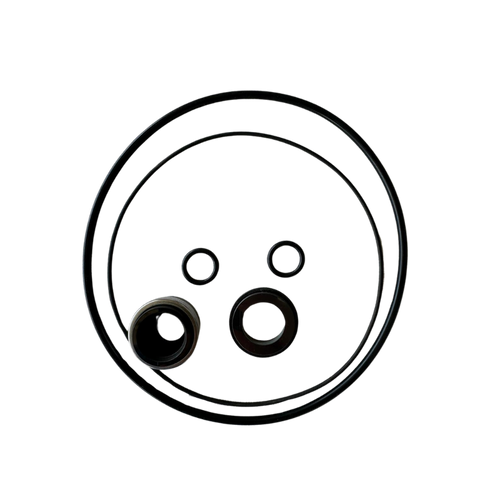 Seal and Gasket Replacement Kit - BP Pumps