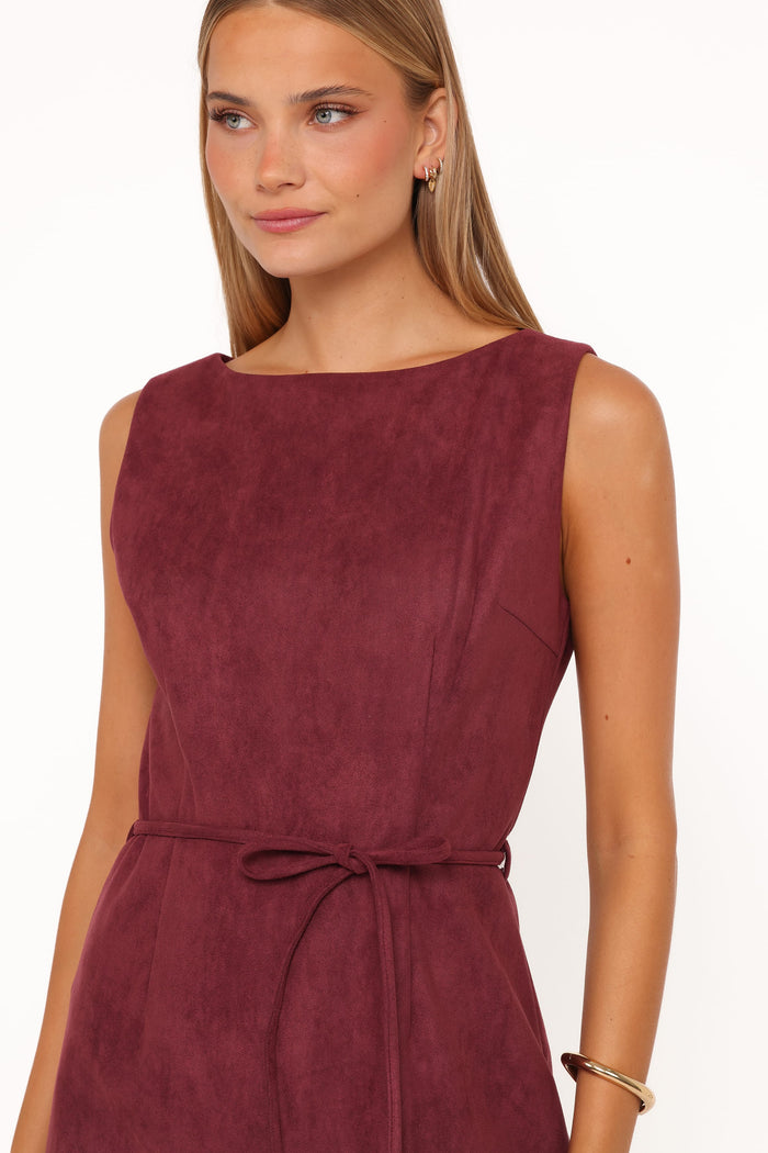 Petal and Pup USA DRESSES Sharna Mini Dress - Burgundy