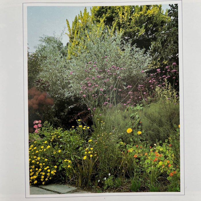 The Garden Border Book