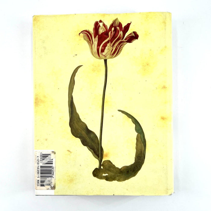 Tulip