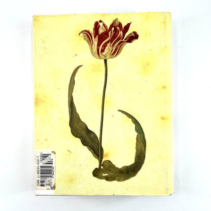 Tulip