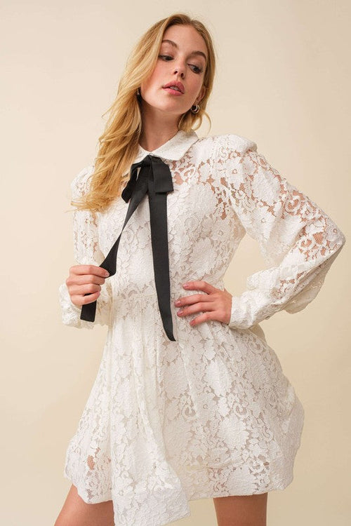 Whitney Lace Mini Dress