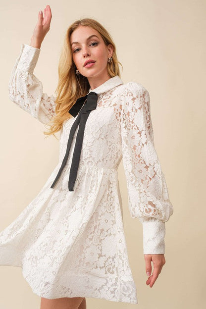Whitney Lace Mini Dress