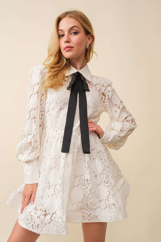 Whitney Lace Mini Dress
