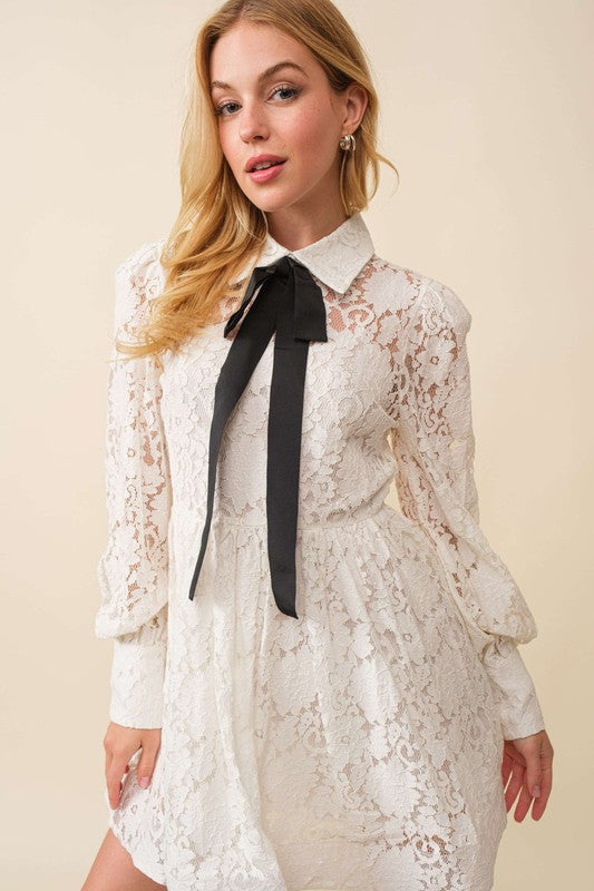 Whitney Lace Mini Dress