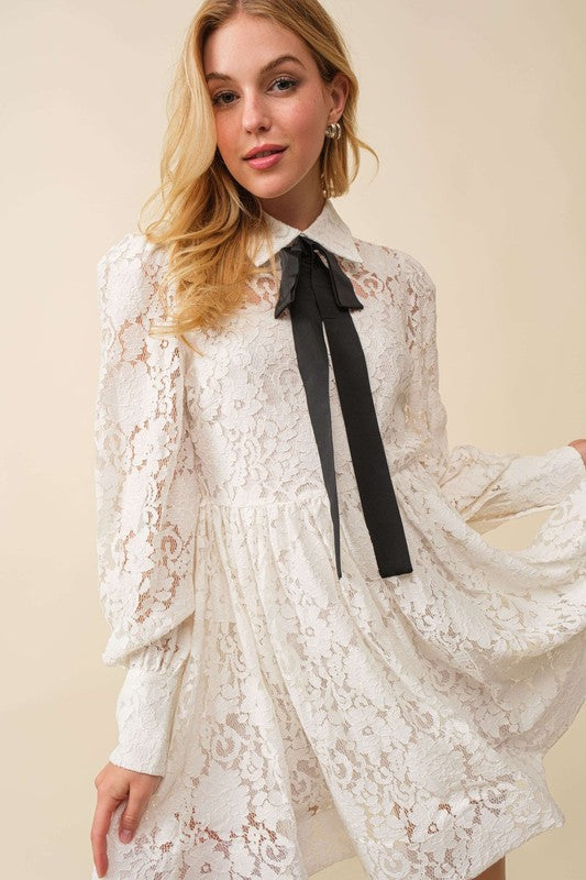 Whitney Lace Mini Dress