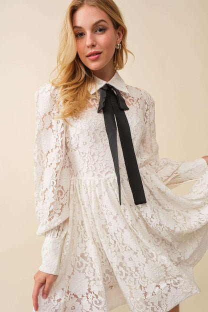 Whitney Lace Mini Dress