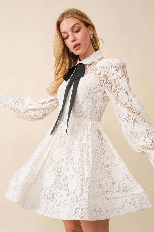 Whitney Lace Mini Dress
