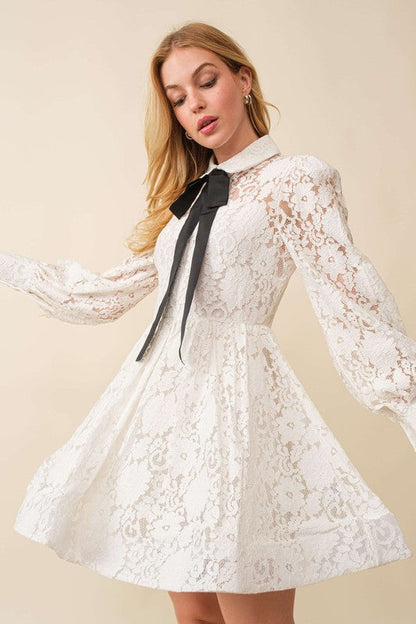 Whitney Lace Mini Dress