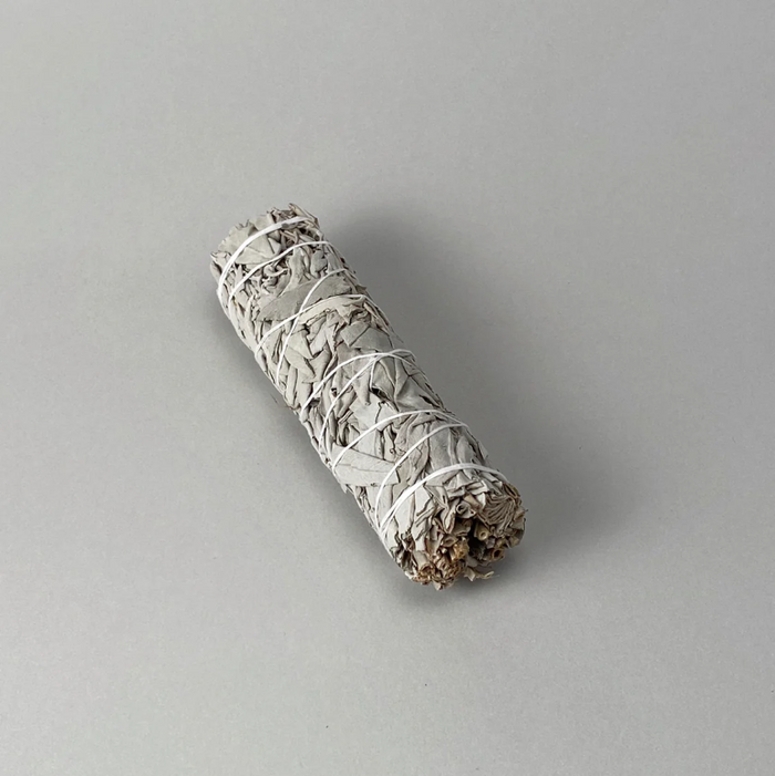 Wild White Sage (6”)