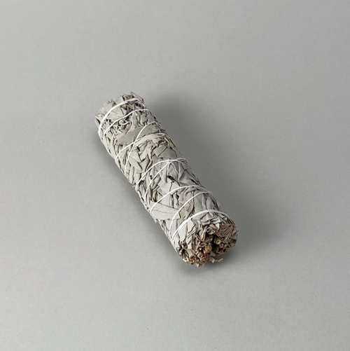 Wild White Sage (6”)